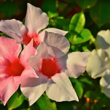 La Fonte Alojamento de Turismo Rural