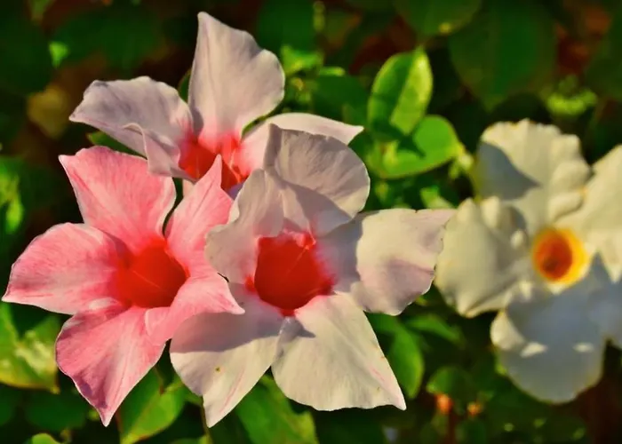 La Fonte Alojamento de Turismo Rural