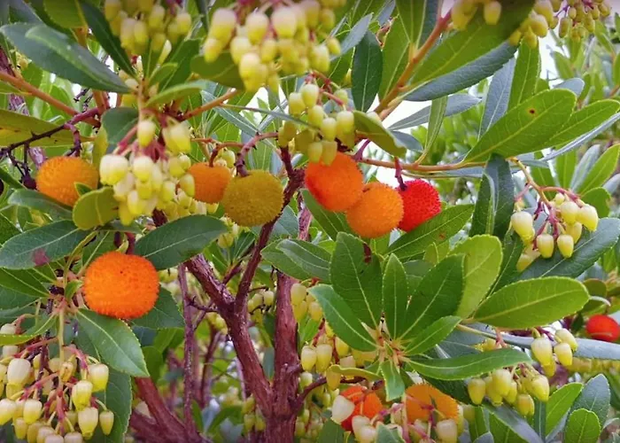 La Fonte Alojamento de Turismo Rural *